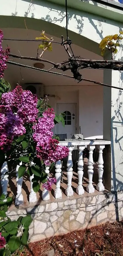 Olivera Apartments 0*, Pula Croatia