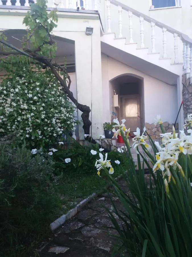 Olivera Apartments Pula